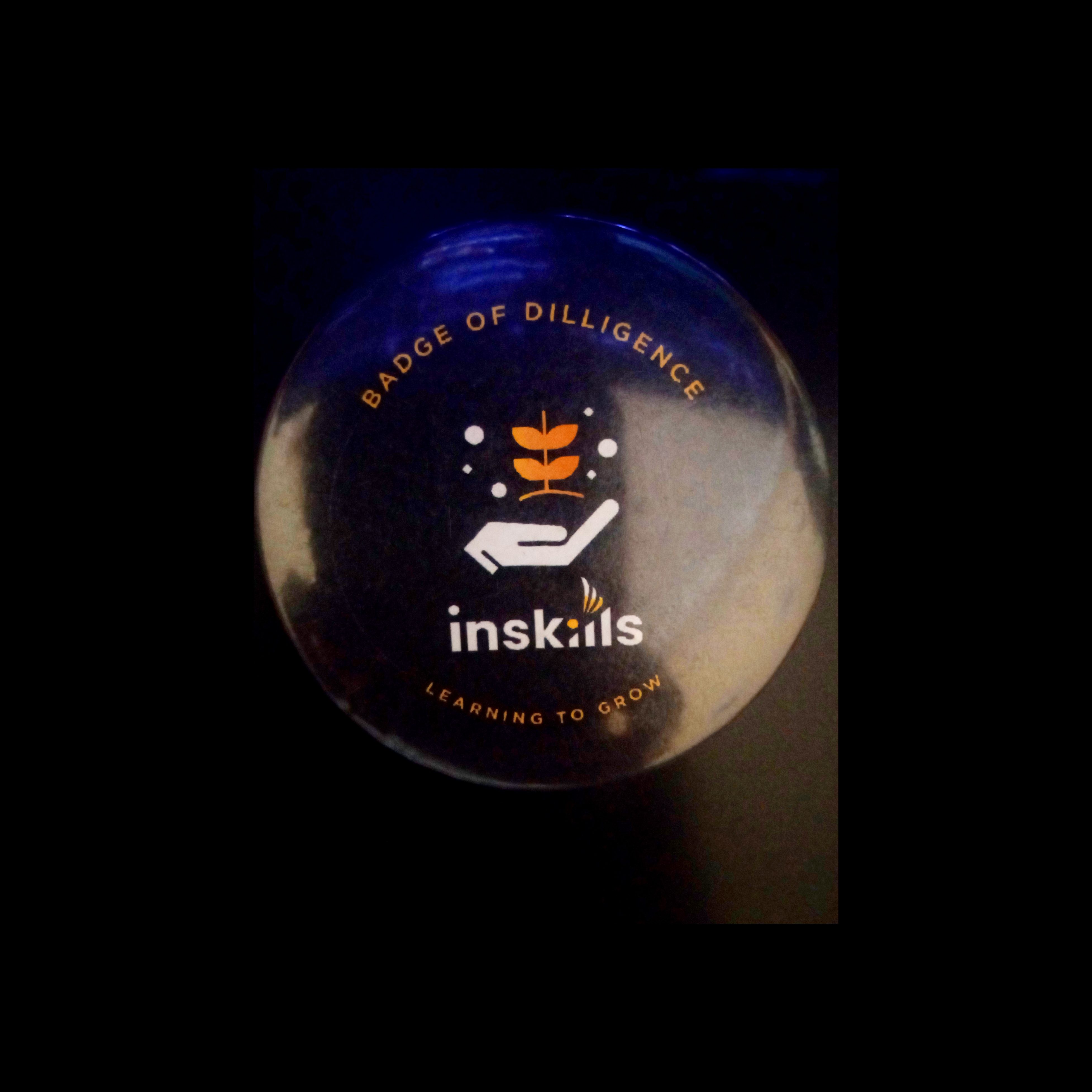 Diligence Badge - Inskills 2024